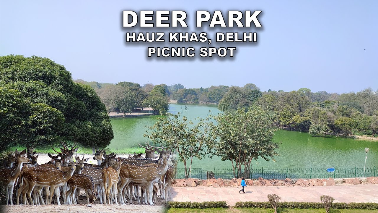 Hauz Khas Village Deer Park