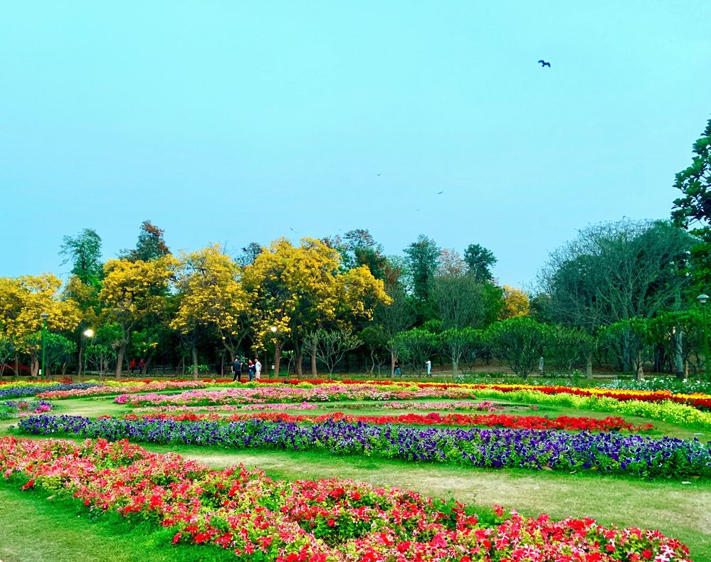 Nehru Park 2